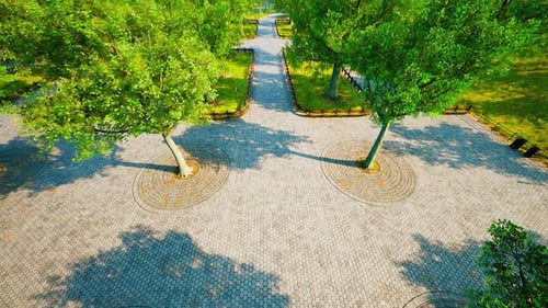 Aerial View of Beautiful Park