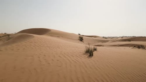 Camel Walks Across Desert Sand Dunes During Daytime