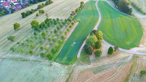 Landwirtschaftlicher Garten mit Obstbäumen zwischen Feldern und Wiesen auf dem Land