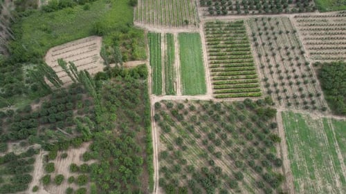 Aerial View of Rural Farmland with Geometric Plots