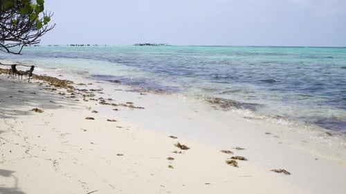 Circuito de playa de la isla Karimunjawa