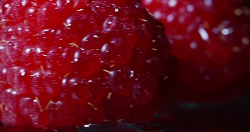 Red Raspberry Close-Up on Dark Background