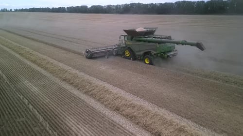 Combine on the field harvesting wheat