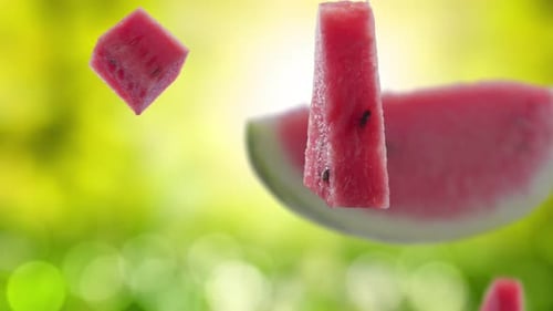 Flying of Watermelon and Slices in Garden Background