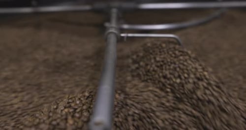 Close Up Coffee Beans Drying in Coffee Roaster in Food Production Plant Abundance