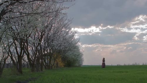 Girl in Green Meadow