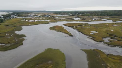 Coastal wetlands with winding tidal streams and grassy marshlands on a cloudy day