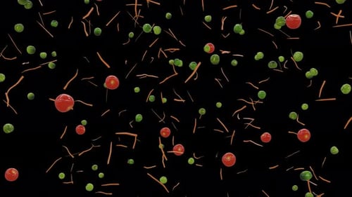 Falling Vegetables: Peas, Tomatoes, and Carrots on Black