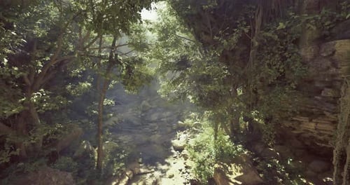 Serene Forest Pathway with Sunlight Filtering Through Lush Greenery