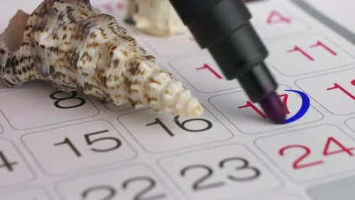Calendar with Seashells, Date Circled