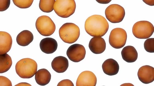 Falling Oranges and Brown Fruits on White Background