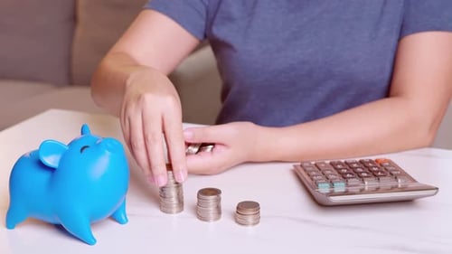 Women use calculators and put money coins into blue piggy banks with blank metaphors separate kinds