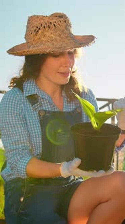 Cultivation Of Plants A Female Gardener Examines A Sprout Of A Green Plant Farming Near The House