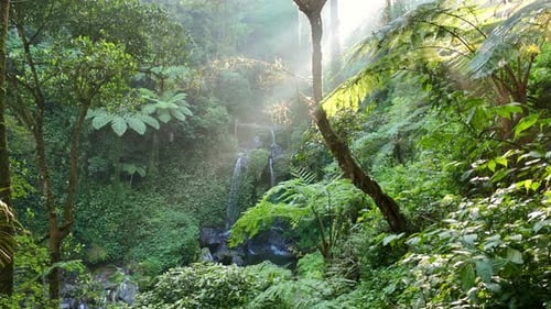 Malerischer Blick auf einen tropischen Wasserfall, umgeben von üppigem grünem Regenwald mit Sonnenlicht
