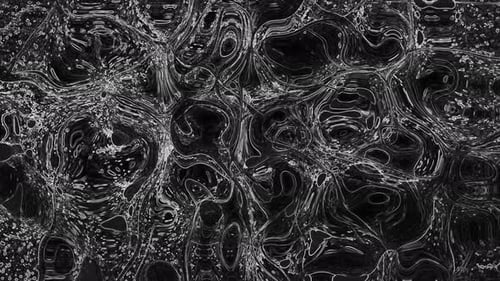 Abstract Fluid Organic Black White Moving Background Loop