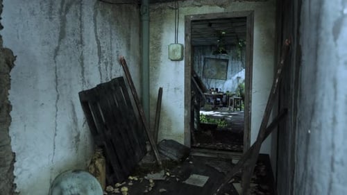 Grungy Decaying Room Dolly Shot Visual