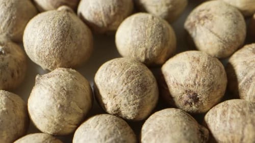 White peppercorns, spherical berries from the pepper plant.