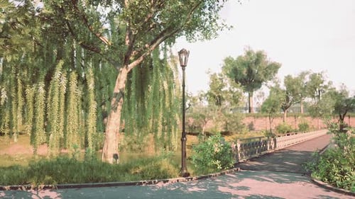 Tranquil Park Setting with Trees and Lamp Post During Daylight Hours
