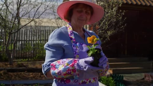 Senior Woman Gardening with Flowers on Sunny Day