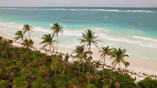 Palm trees line a pristine beach with bright turquoise Caribbean waters