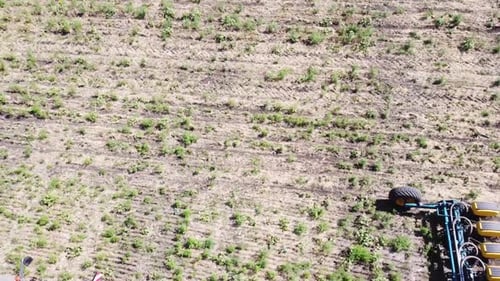 Blue Tractor O.A. Planting Canola On No Till Field