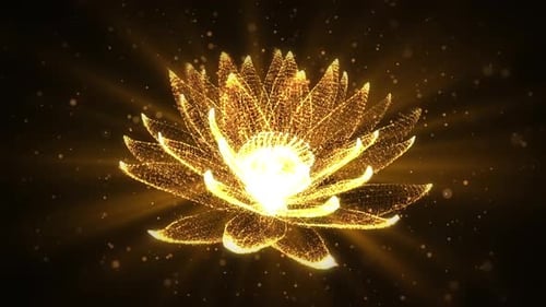 Abstract Golden Particle Lotus Flower Blooming Animation