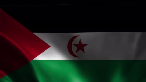 Waving Flag of Saharawi Arab Democratic Republic Loop