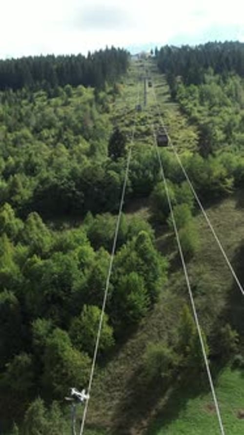 Forest Cable Car