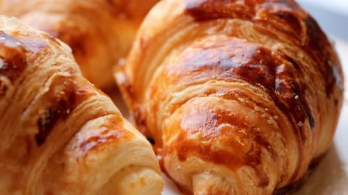 Fresh Baked Croissant on Plate with Copy Space