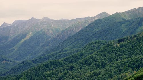 Landscape of Green Mountains Overgrown with Forest