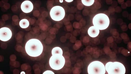 Abstract Organic Forms Glowing Microscopic Cells Loop