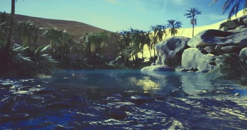 Serene Oasis with Palm Trees and Water Under a Clear Blue Sky