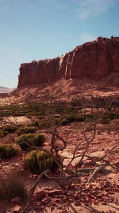 Distant Rock Formations in Nevada Desert