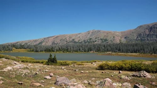 Stunning Lower Red Castle Lake up in the High Uinta National Forest with barren mountains, pine tree