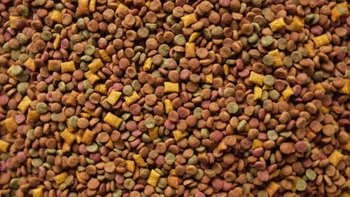 Dry Pet Food Close-Up Panning Shot