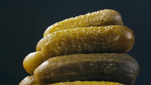 Salted Pickles in Jar Can Cucumbers Preservations Conservation Salted Hungarian Pickled Cucumbers in