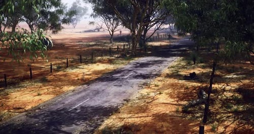 Serene Dirt Road Surrounded By Lush Trees in a Rural Landscape