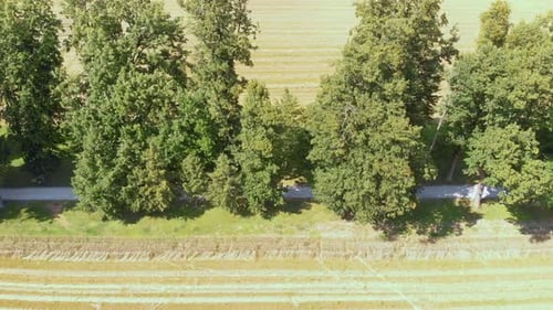 Beautiful drone view of the country road on a sunny day