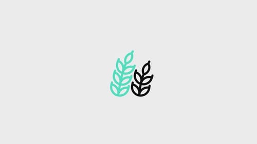 Minimalist Wheat Stalks with Wind Icon Animation