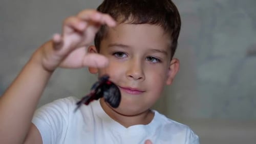 Young Boy Holding a Butterfly Close Up