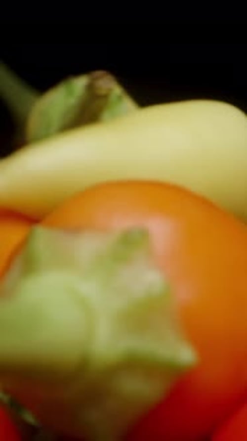 Vertical video. An array of multicolored mini rosemary peppers falling from above onto a black