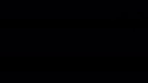 Dark Abstract Bird Flock Flying Alpha Channel Transition