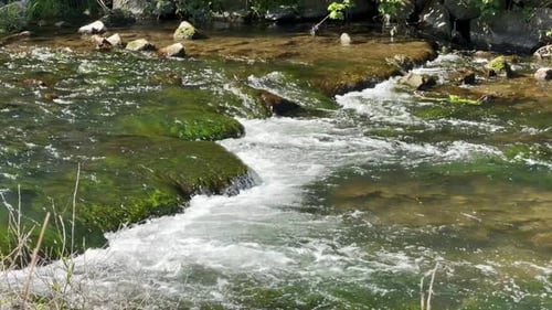 Gebirgsbachwasser, das über moosige Felsen fließt