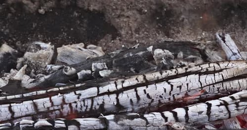 In a BBQ Grill Ash Embers From a Bonfire After the Fire Had Burned Firewood for the Preparation of