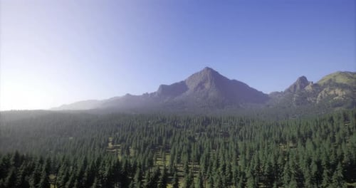 Lush Green Forest Landscape with Majestic Mountains Under Clear Blue Sky