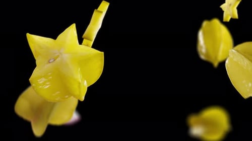 Fliegende Karambola- und Sternfruchtscheiben auf schwarzem Hintergrund
