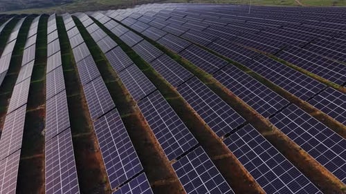 Large solar panels cover the ground in a renewable energy farm