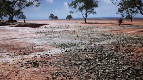Dry Cracked Earth Landscape with Sparse Trees and Dust