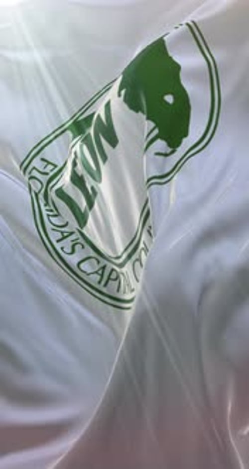 Leon County Florida Flag Waving Seamless Loop for Corporate Identity