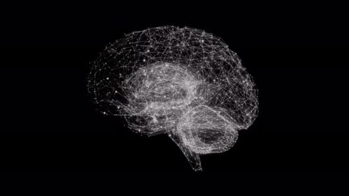 Futuristic Plexus Brain Formation Animation